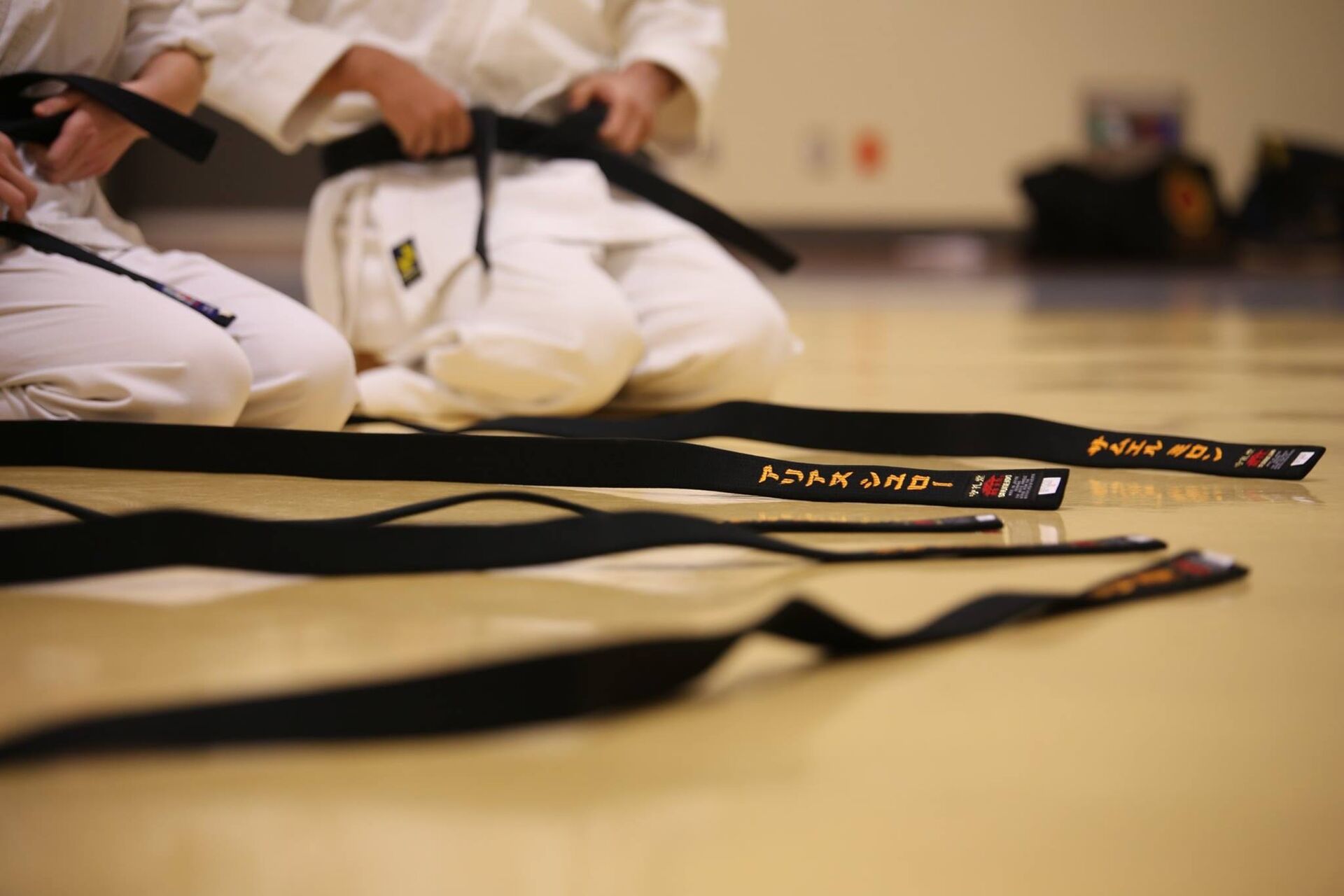 /assets/images/n/patrickbrassard0-black-belt-894190-qw1wpbmfncbytgn.jpg